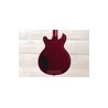 Gibson Les Paul Special Double Cutaway Rick