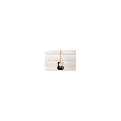 Fender American Professional II, Telecaster, Black, Guitarra Eléctrica con case