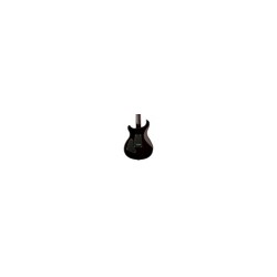 PRS SE Custom 24, Black Gold Sunburst, Guitarra Eléctrica con gigbag